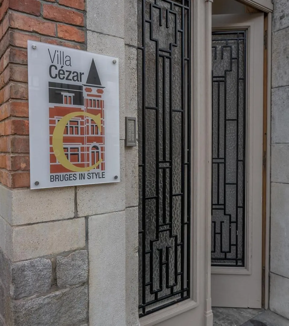 Villa Cezar - Big House At The Center Of Bruges - Free Parking